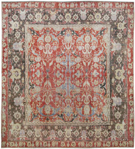16254 Cotton Agra