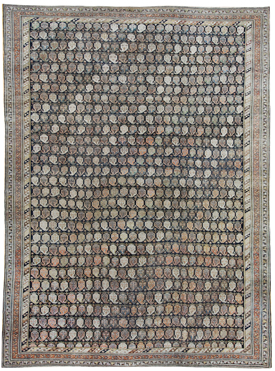 19564 Agra